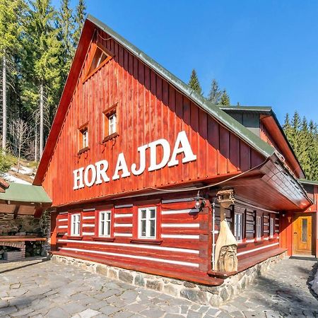 Penzion Horajda Hotel Vítkovice Екстериор снимка
