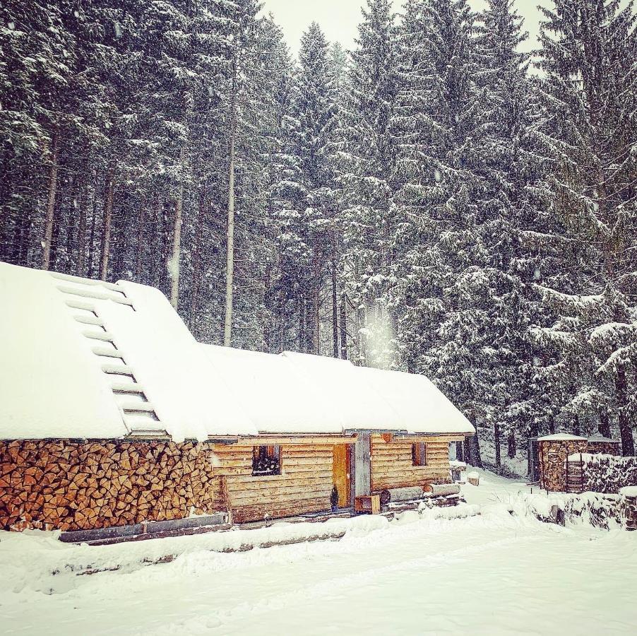 Penzion Horajda Hotel Vítkovice Екстериор снимка