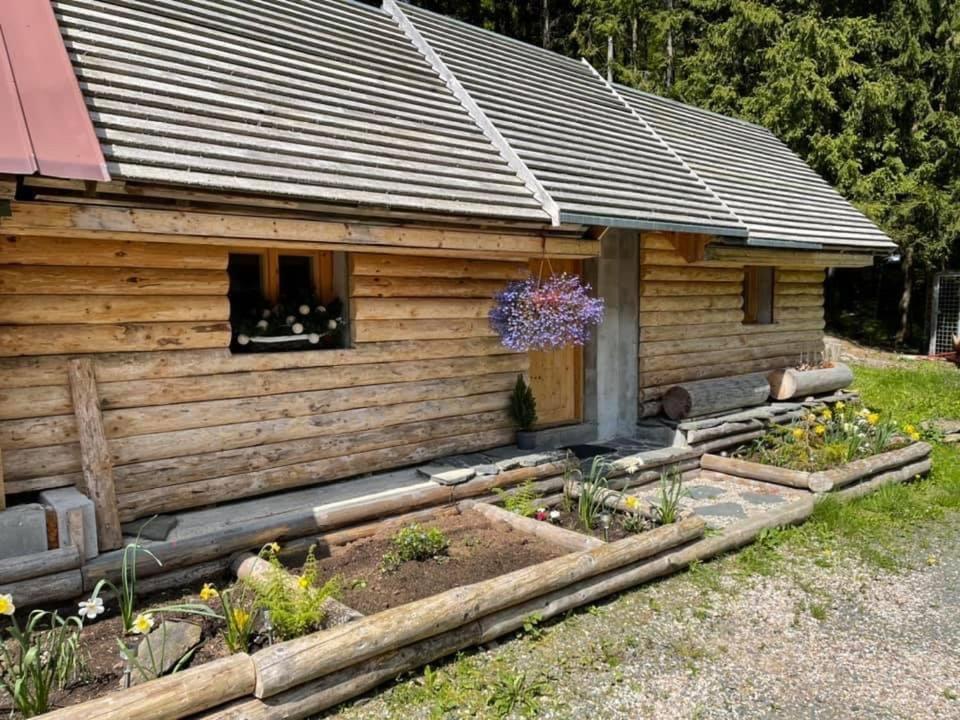 Penzion Horajda Hotel Vítkovice Екстериор снимка