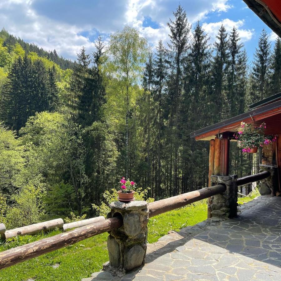 Penzion Horajda Hotel Vítkovice Екстериор снимка