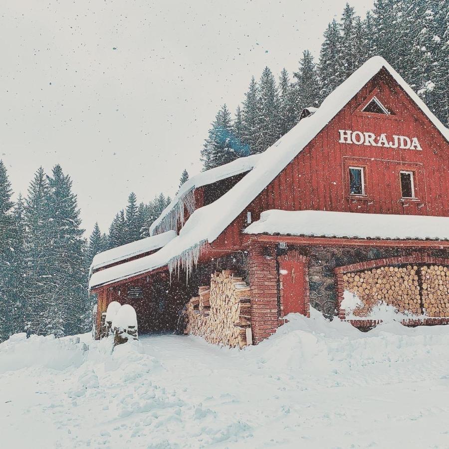 Penzion Horajda Hotel Vítkovice Екстериор снимка